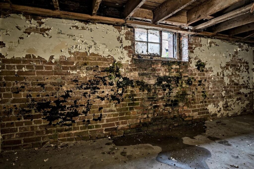 How to Sell a House With Mold in New York