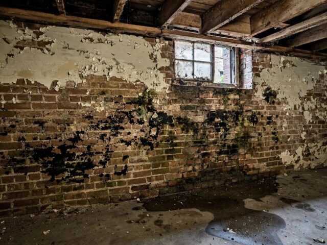 How to Sell a House With Mold in New York